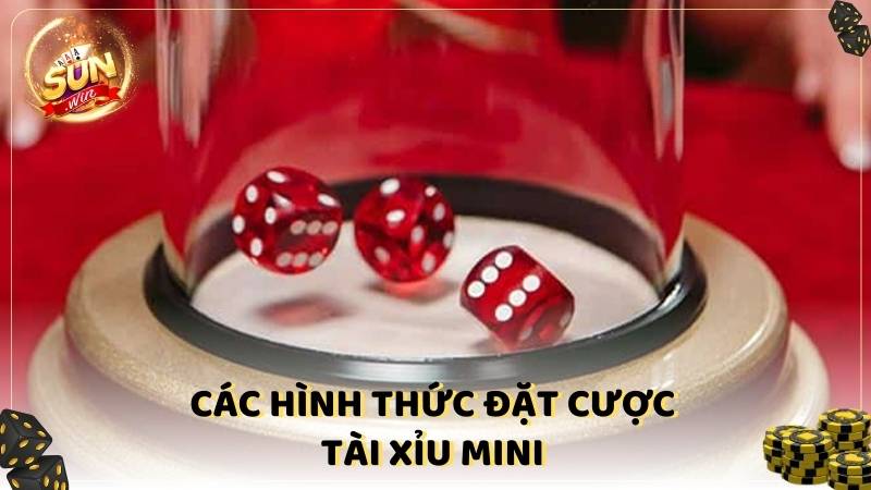 Cac Hinh Thuc Dat Cuoc Tai Xiu Mini