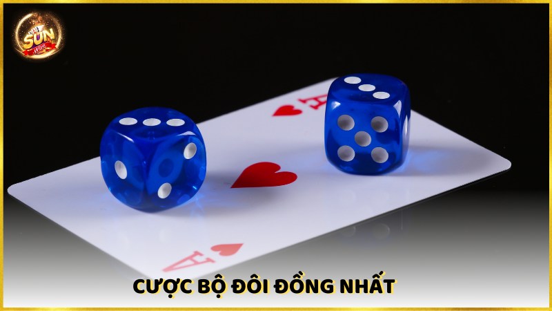 Cuoc Bo Doi Dong Nhat