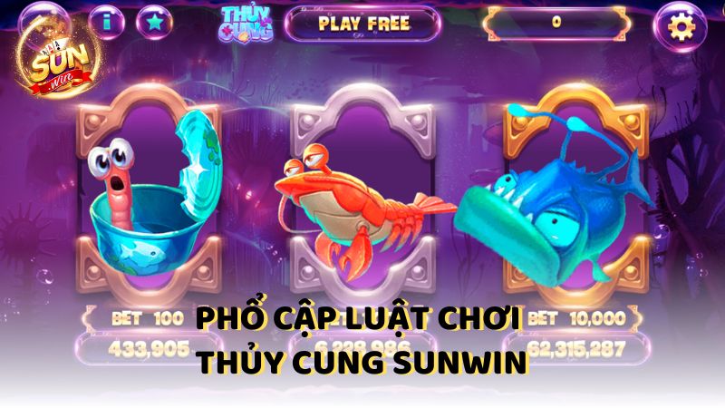 Pho Cap Luat Choi Thuy Cung Sunwin