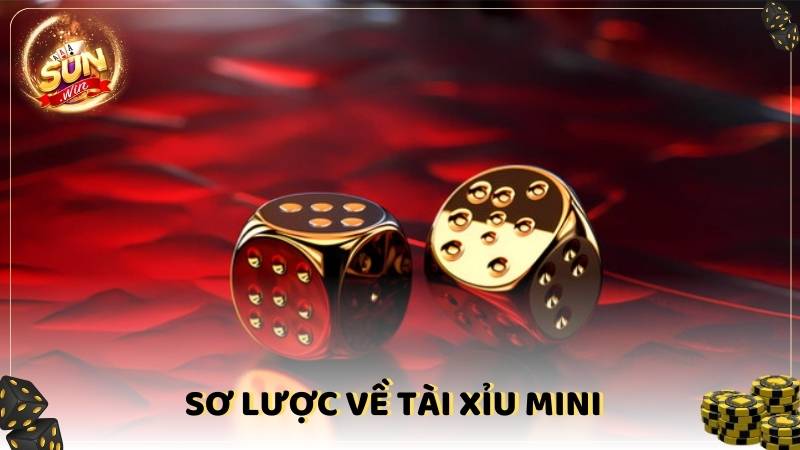 So Luoc Ve Tai Xiu Mini