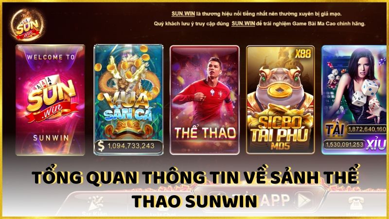 Tong Quan Thong Tin Ve Sanh The Thao Sunwin (1)